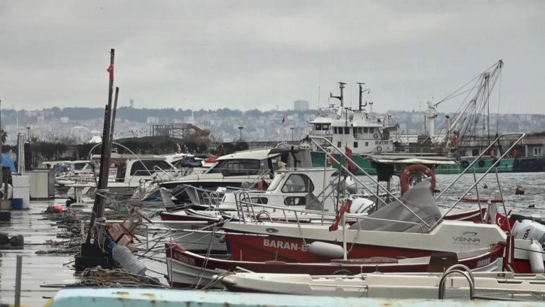 Uyanık lüfer Karadeniz zekasını kullandı