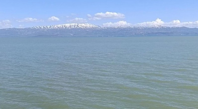 Van Gölü'nde yüzmek yasaklandı