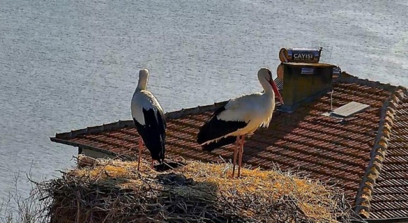 Yaren, Nazlı'sına kavuştu
