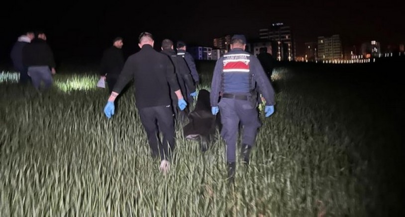 Yaşlı adamı öldüren şüpheli yakalandı