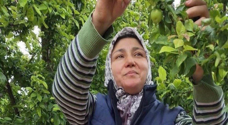 Yaz meyvelerinde bereket üreticinin yüzünü güldürdü