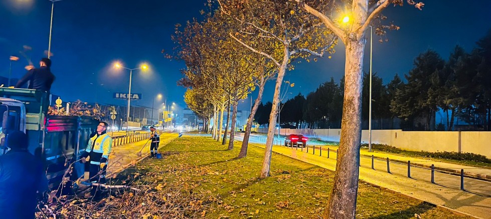 Yeşil Bursa kışa hazırlanıyor; Ağaçlar bakıma alındı