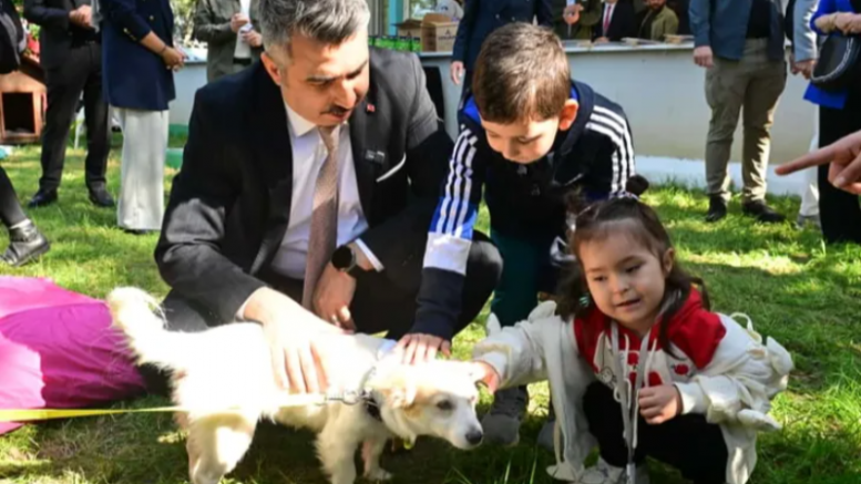 Yıldırım Belediyesi'nden sahipsiz patili canları sıcak bir yuva!