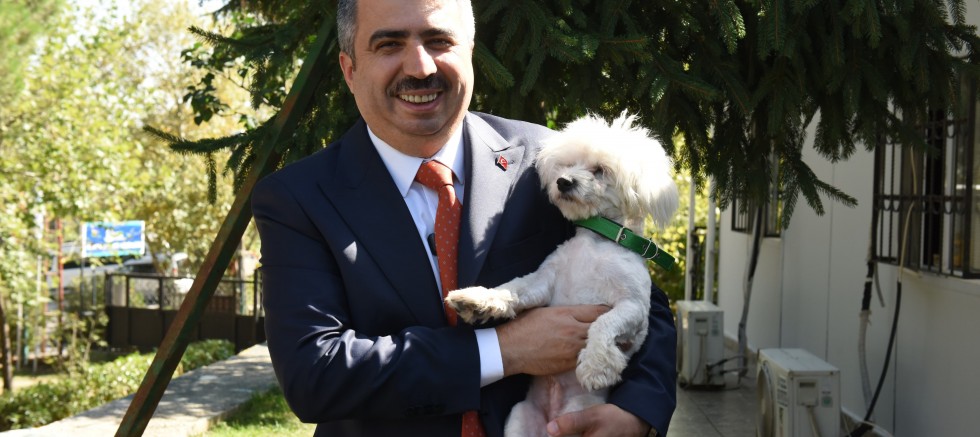 Yıldırım'da can dostlar emin ellerde