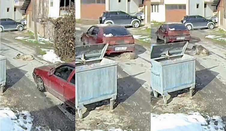 Yolda yatan köpeği ezip, yoluna devam etti