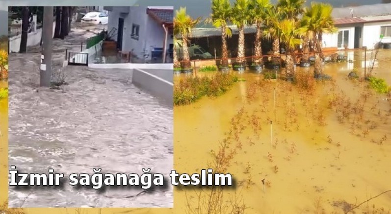 Yollar ve tarım arazileri sular altında