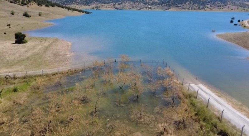 Yozgat’ta badem ağaçları sular altında kaldı