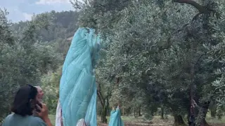 Anlık hava değişimi yamaç paraşütçülerine yaramadı