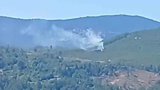 Muğla’nın Menteşe ilçesinde orman yangını