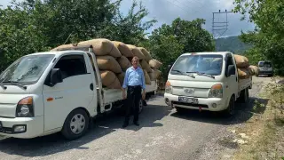 Dalından toplamayın, yere dökülmesini bekleyin