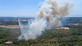 İzmir Buca’da orman yangını çıktı