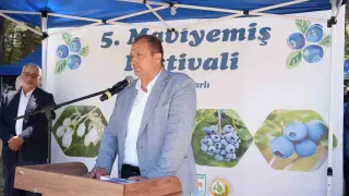 İznik’te 5. Maviyemiş Festivali’ne yoğun ilgi