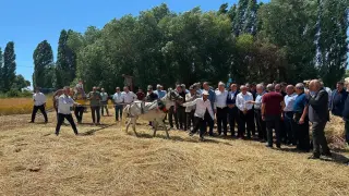 Bayburt’ta geleneksel hasat canlandırıldı