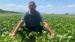 Çiftçi tarlasını hazırlıyor, gerisini kooperatif yapıyor