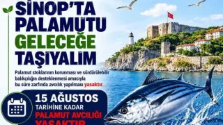 Sinop'ta balıkçılara ’palamut’ uyarısı