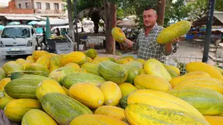 Tavan arasından çıkan tohumların mucizesi