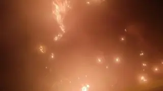Karacabey’de ormanlık alanda yangın paniği