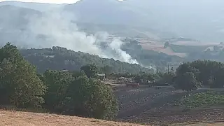 Kocaeli’de yangın paniği: 30 dönüm yandı