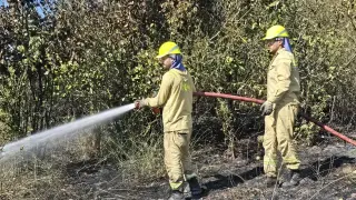 Tarım arazisinde çıkan yangın söndürüldü