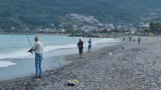 Karadeniz’de balık bolluğu yaşanıyor