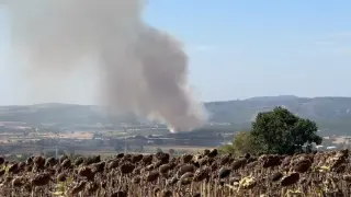 Mudanya’da korkutan yangın: Müdahale ediliyor