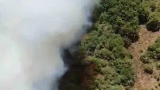 Bursa’da bir orman yangını daha