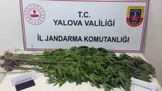 Yalova’da uyuşturucu operasyonu: 3 gözaltı