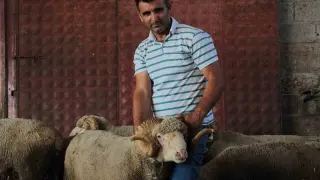 Milyonluk yerli koçun erkek üçüz yavrusu oldu