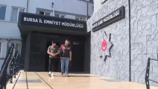 İnşaat farelerini böyle çözdüler