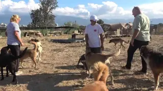 18 yıllık gönüllülük, 4,5 dönümlük yaşam evine dönüştü
