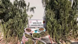 Karacabey'de uyuşturucu operasyonu
