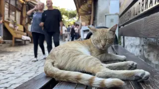Tarihi sokaklarda hafta sonu hareketliliği