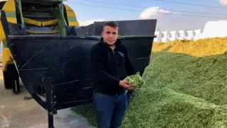 Silajlık mısıra ve samana talep arttı