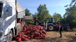 Bursa’da 8 ton midye ele geçirildi
