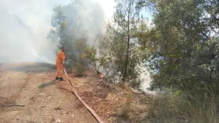 Bursa'da orman yangınına müdahale ediliyor