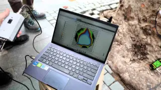 Asırlık ağaçlar tomografiyle incelenecek