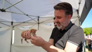 Büyükşehir'den can dostları için yuva seferberliği