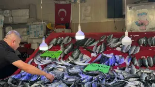 Türkeli’de palamut bereketi: Fiyatı düştü, yüzler güldü