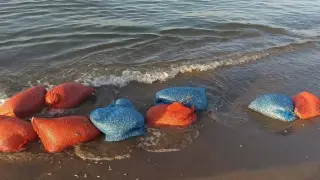 Yasa dışı kum şırlanı avcılığına geçit yok