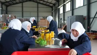 Gürsu Ovası’na kadın eli değdi