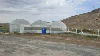 Cizre’de örtü altı yetiştiriciliğine devlet eli