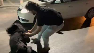 Bursa'da alkollü kadın tutuklandı