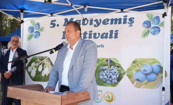 İznik’te 5. Maviyemiş Festivali’ne yoğun ilgi