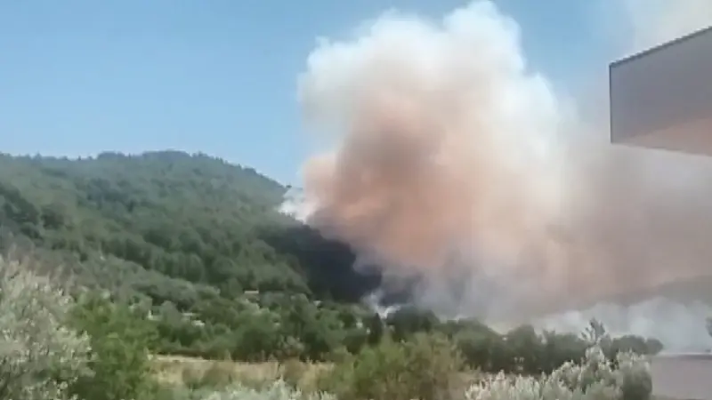 Fethiye’de orman yangını
